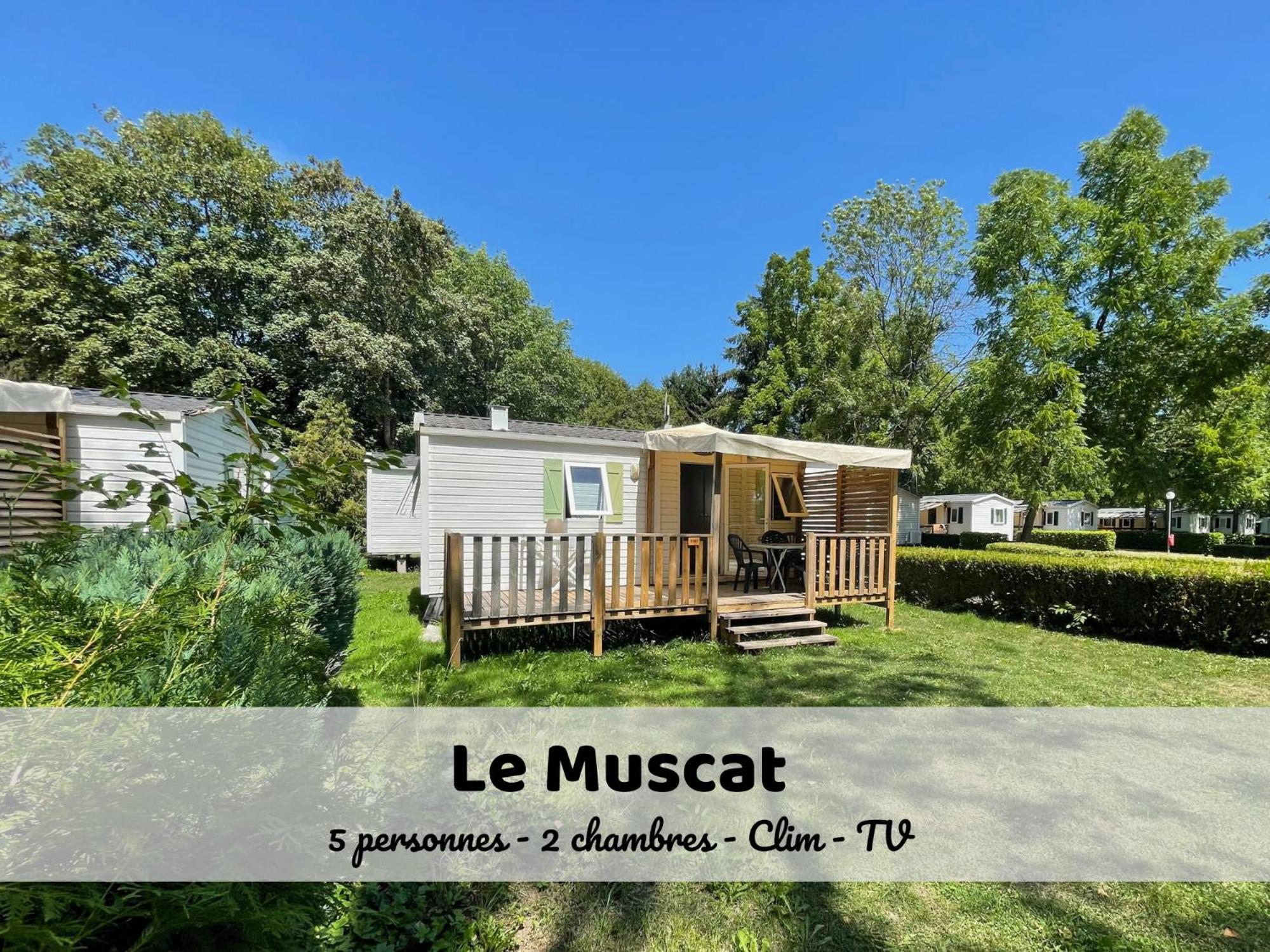 Boofzheim Le Muscat - Bungalow Pour 5 - Tv - Clim חדר תמונה